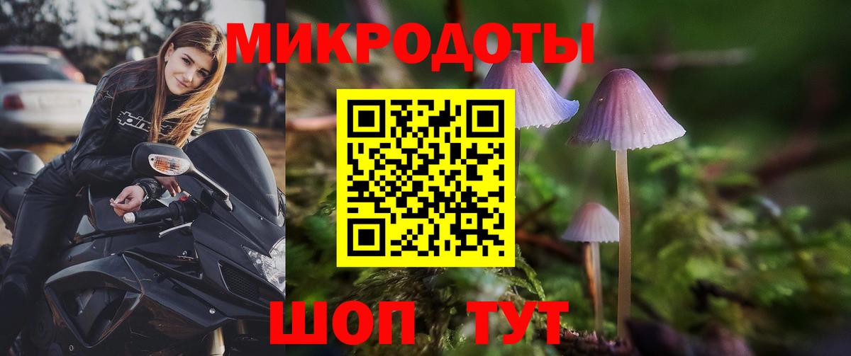 Псилоцибиновые грибы мицелий Урай